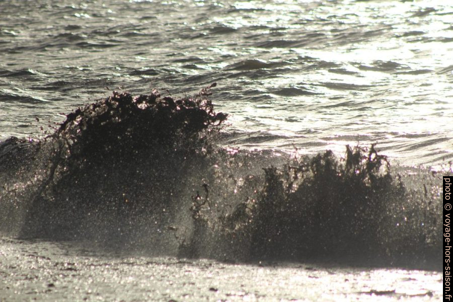 Une vague hache des herbes de posidonie mortes. Photo © André M. Winter