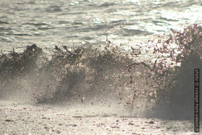 Une vague hache les herbes de posidonie mortes. Photo © André M. Winter