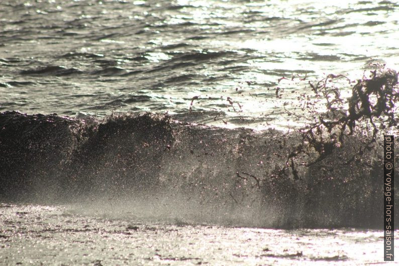 Vague hachant les herbes de posidonie mortes. Photo © André M. Winter