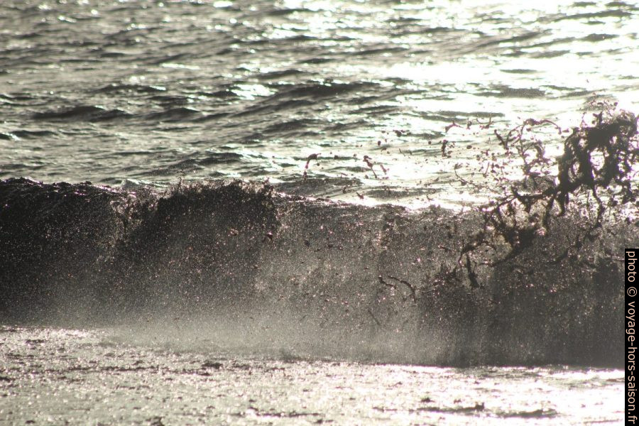 Vague hachant les herbes de posidonie mortes. Photo © André M. Winter