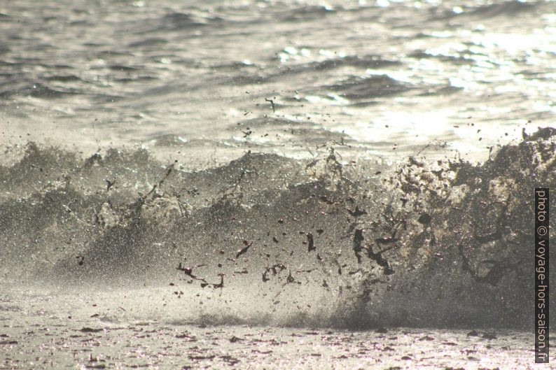 Vagues hachant les herbes de posidonie mortes. Photo © André M. Winter