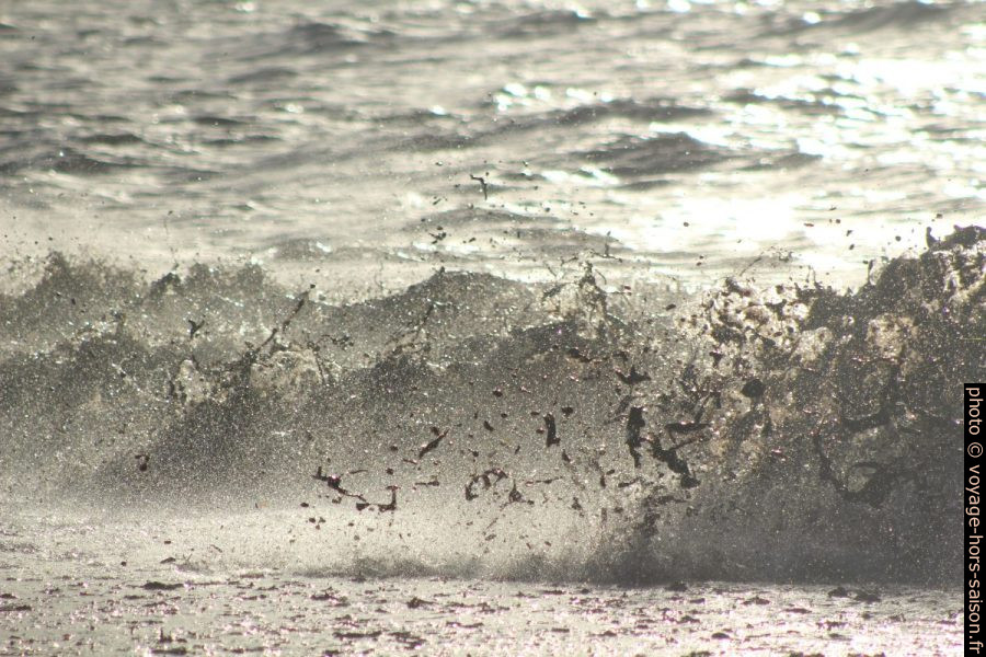 Vagues hachant les herbes de posidonie mortes. Photo © André M. Winter