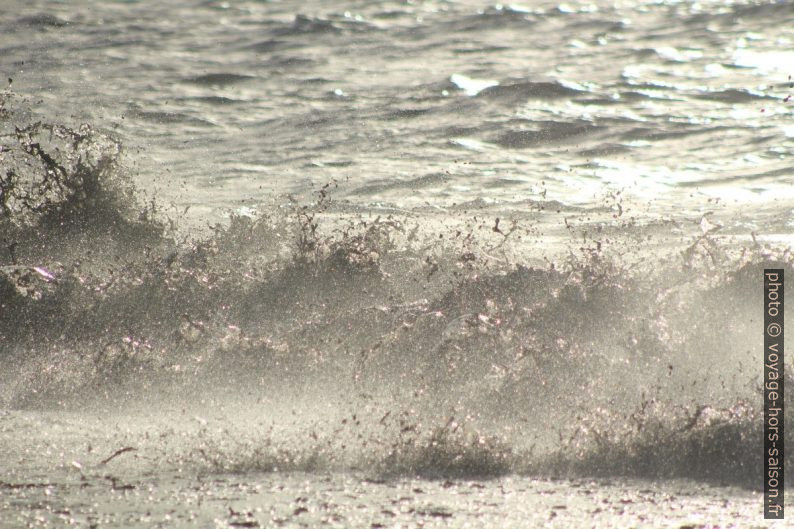 Vague hachant les herbes de posidonie mortes. Photo © André M. Winter