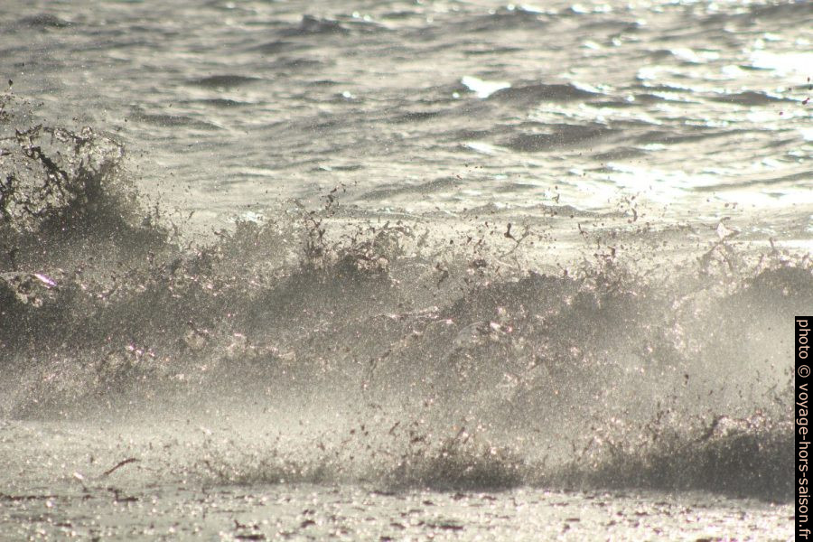 Vague hachant les herbes de posidonie mortes. Photo © André M. Winter