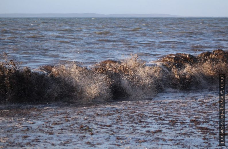 Une déferlante brasse les herbes de posidonie mortes. Photo © André M. Winter