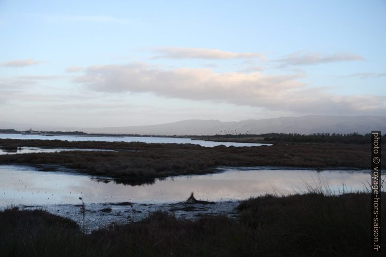 Laguna di S'Ena Arrubia. Photo © Alex Medwedeff