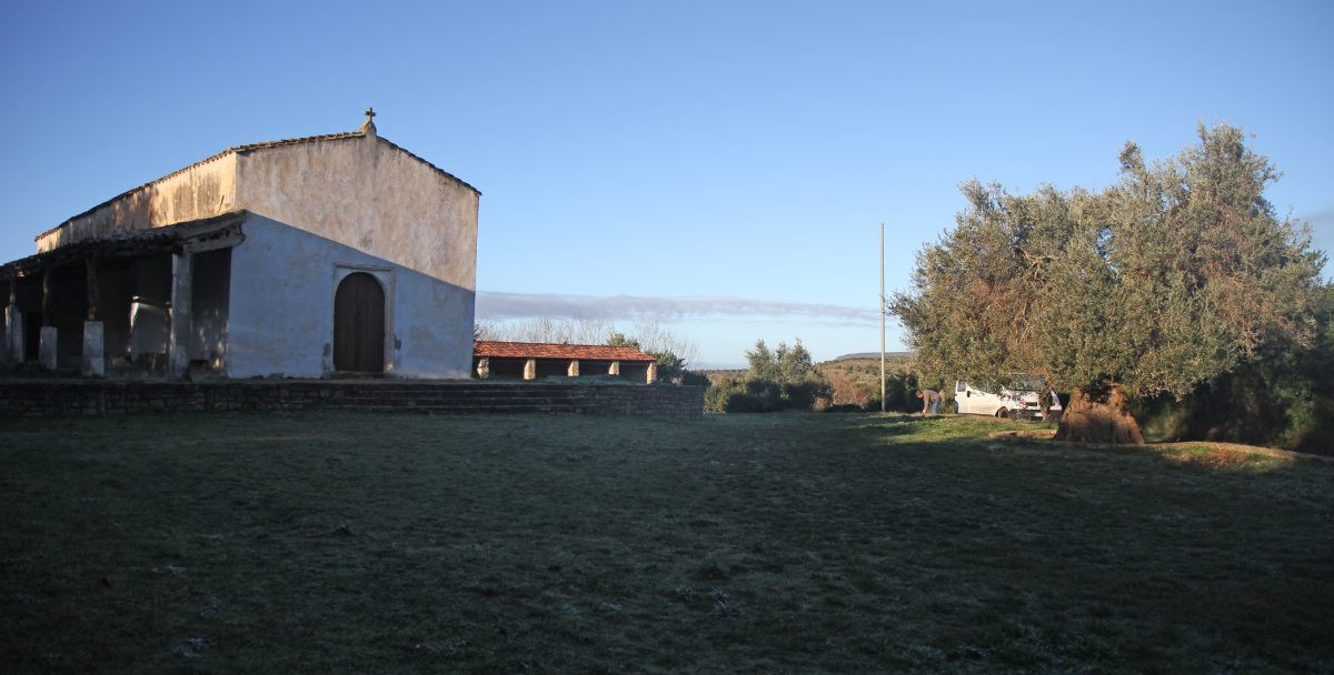 Chiesa di San Salvatore et notre Trafic. Photo © André M. Winter