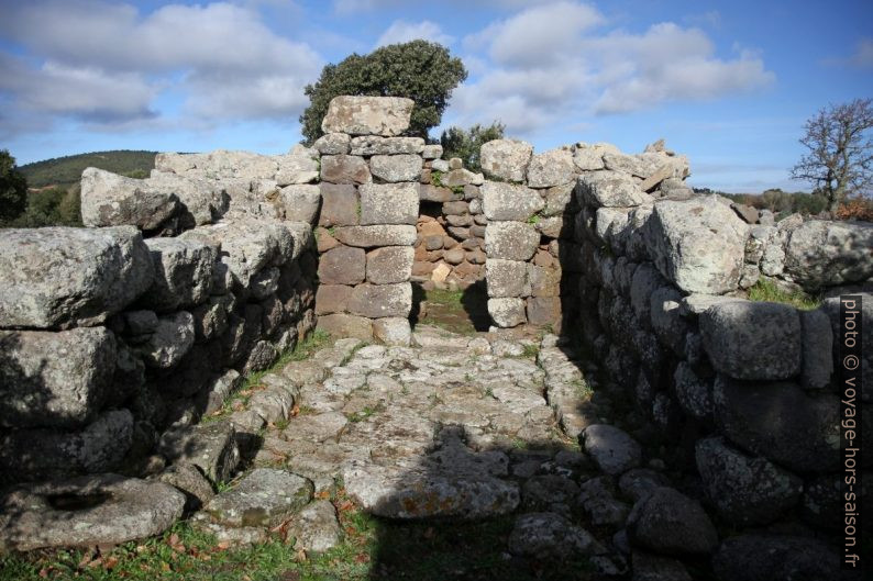 Tempio in antis. Photo © Alex Medwedeff