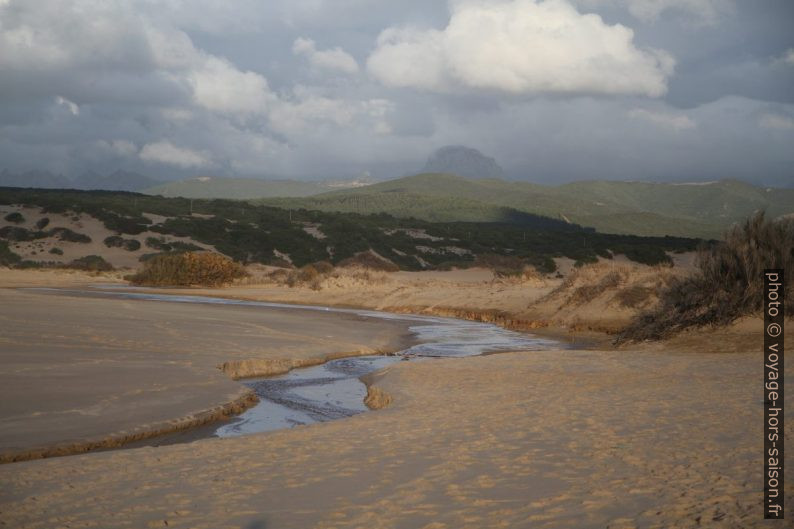 Rio Naracauli avant l'embouchure dans la mer. Photo © Alex Medwedeff