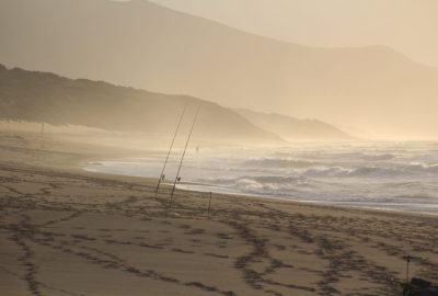 Cannes à pêche sur la plage de Piscinas. Photo © André M. Winter