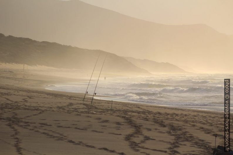 Cannes à pêche sur la plage de Piscinas. Photo © André M. Winter