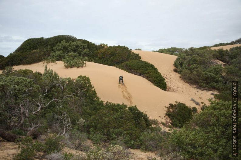 Nicolas grimpe sur une dune fraîchement ammassée. Photo © Alex Medwedeff