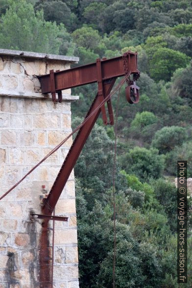 Grue délaissé de Naracauli. Photo © André M. Winter