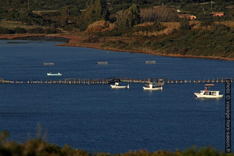 Nasse du Porto di Malfatano. Photo © André M. Winter