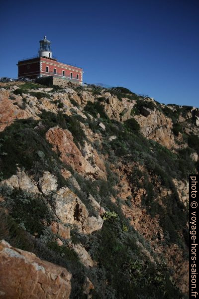 Phare de Capo Spartivento et la paroi côtière. Photo © Alex Medwedeff