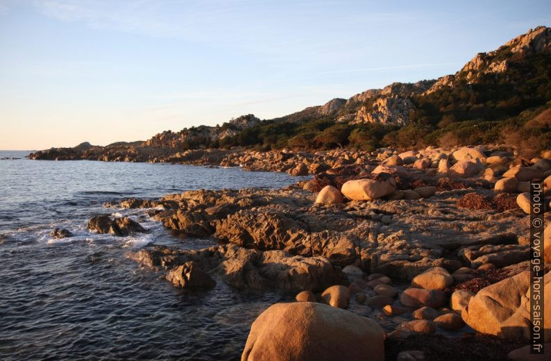 Côte rocheuse du Capo Comino. Photo © Alex Medwedeff