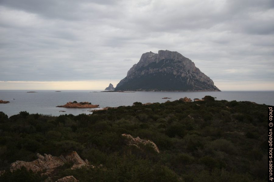 Isola Tavolara. Photo © Alex Medwedeff
