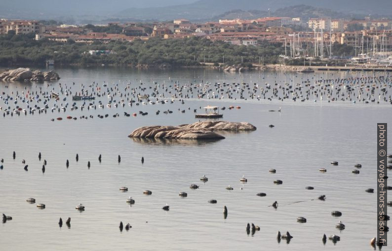 Écueils dans le Golfe d'Olbia. Photo © André M. Winter