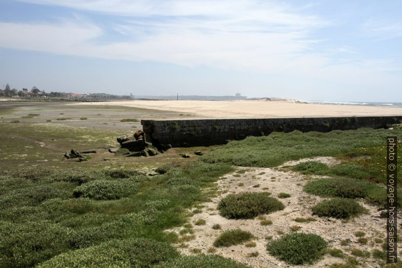 Marais salants de l'estuaire du Rio Cávado. Photo © Alex Medwedeff