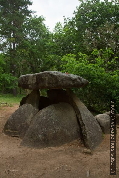 Dolmen d'Axeitos avec dalle de couverture. Photo © Alex Medwedeff