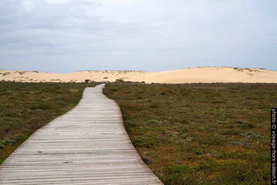 Partie nord-ouest de la Dune de Corrubedo. Photo © André M. Winter