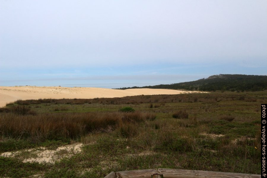Partie nord-ouest de la Dune de Corrubedo. Photo © André M. Winter