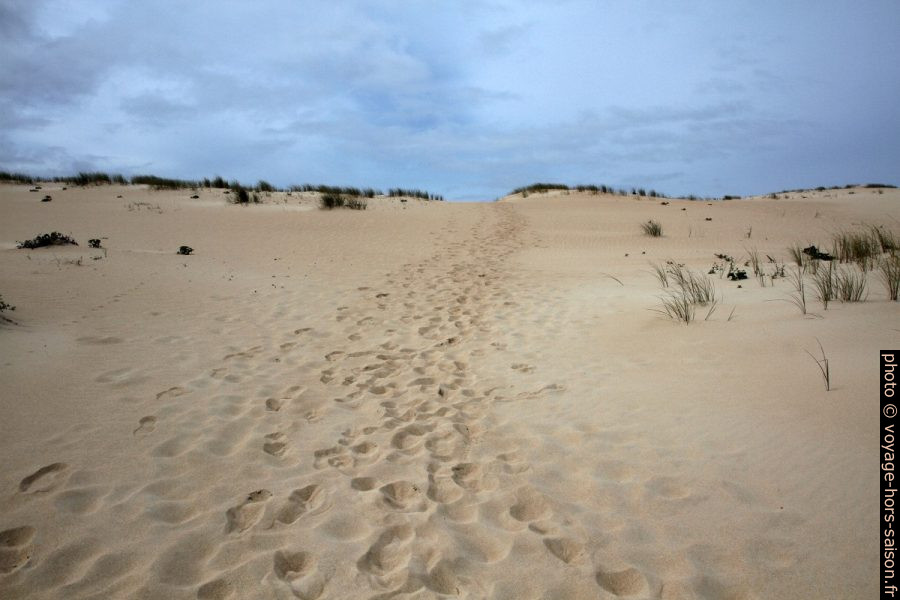 Traces de pas sur la Dune de Corrubedo. Photo © Alex Medwedeff