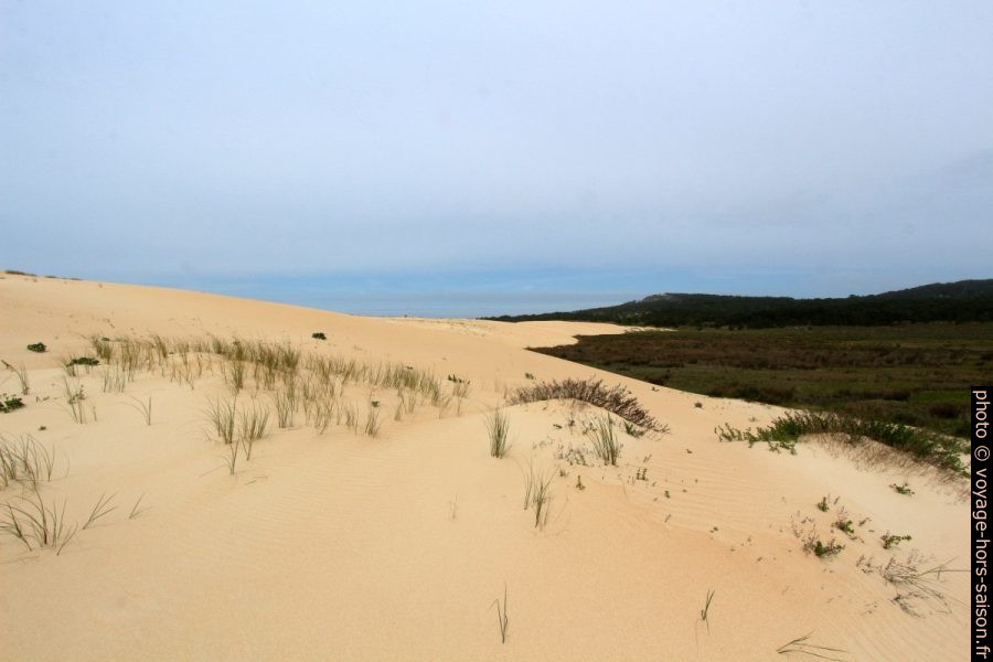 Face terre de la Dune de Corrubedo. Photo © André M. Winter