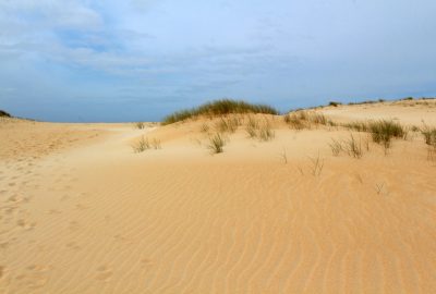 Herbes sur la Dune de Corrubedo. Photo © André M. Winter