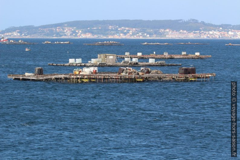 Îlots de cérastoculture dans la Ría de Arousa. Photo © André M. Winter