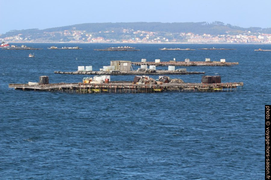 Îlots de cérastoculture dans la Ría de Arousa. Photo © André M. Winter
