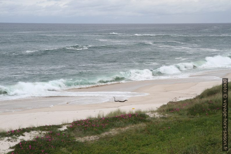 Praia de Llas. Photo © Alex Medwedeff