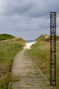 Chemin de caillebotis menant à la plage. Photo © Alex Medwedeff