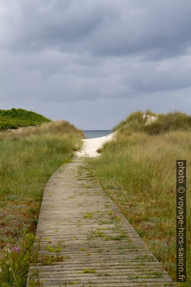 Chemin de caillebotis menant à la plage. Photo © Alex Medwedeff