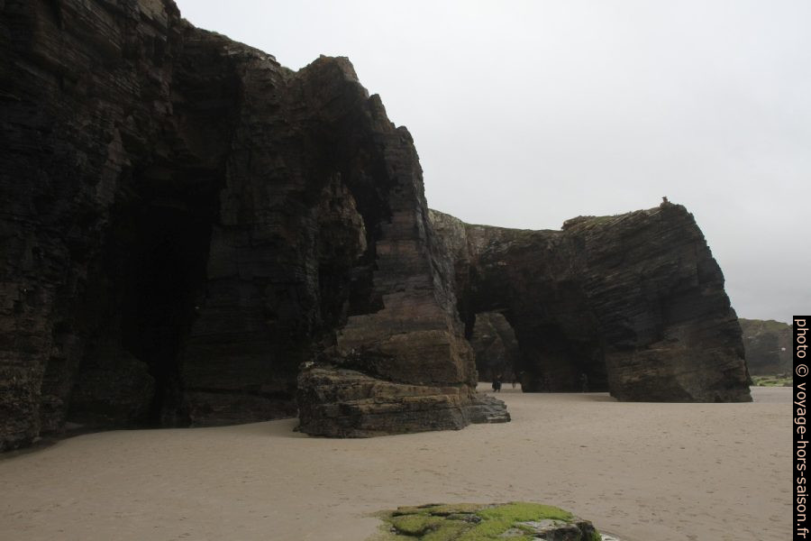 Plage des Cathédrales. Photo © Alex Medwedeff
