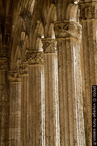 Colonnettes du remplage d'une arcade du cloître de la cathédrale d'Oviedo. Photo © Alex Medwedeff