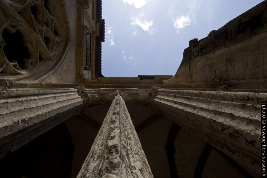 Vue verticale des colonnettes du remplage d'une arcade du cloître. Photo © André M. Winter