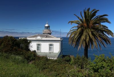 Phare de Candás et palmier au Cabo de San Antonio. Photo © André M. Winter