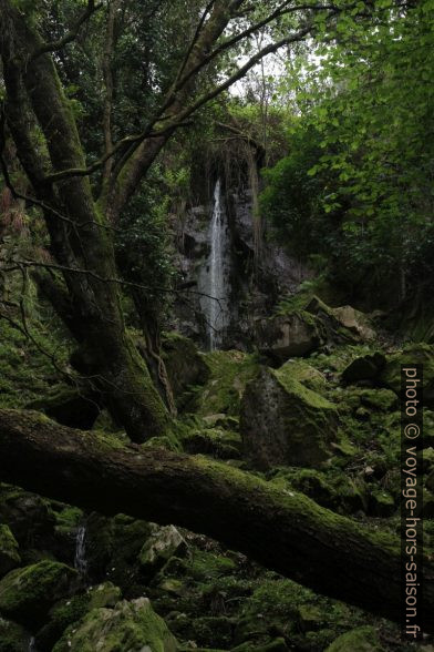 Cascade dans le vallon sombre. Photo © Alex Medwedeff