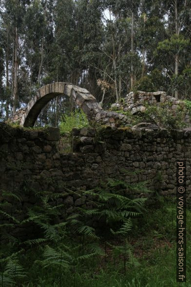 Ruine de l'église Santa María de Tina. Photo © Alex Medwedeff