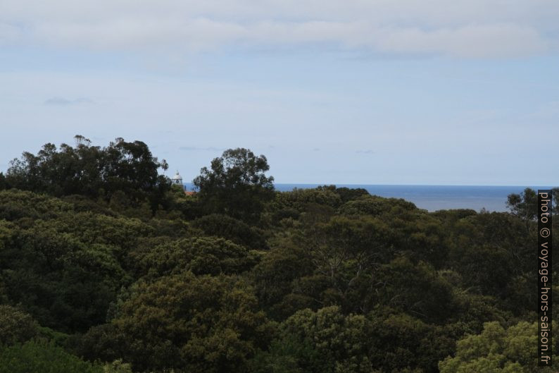 Vue par dessus la forêt vers la mer. Photo © André M. Winter