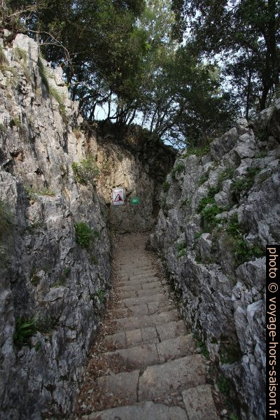 Premiere section de l'escalier du Faro del Caballo en descente. Photo © André M. Winter