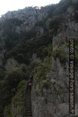 L'escalier qui remonte de la Punta del Caballo. Photo © Alex Medwedeff