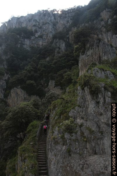 L'escalier qui remonte de la Punta del Caballo. Photo © Alex Medwedeff