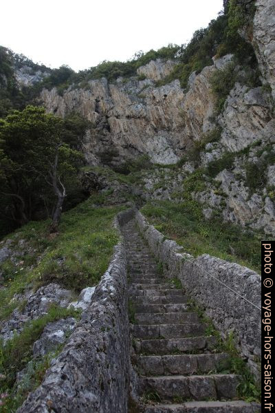 L'interminable escalier qui remonte de la Punta del Caballo. Photo © André M. Winter