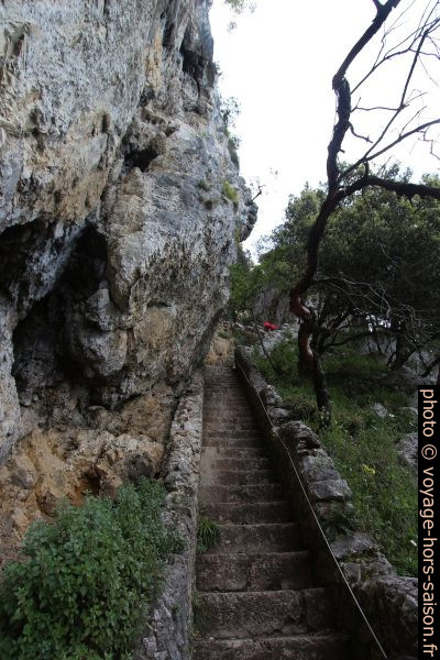 Dernière longue section de l'escalier du Faro del Caballo. Photo © André M. Winter