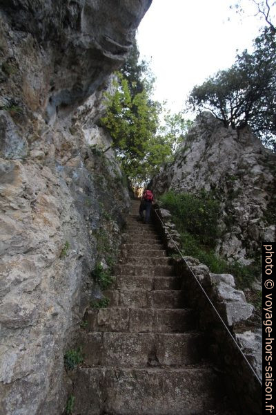 Hautes marches de l'escalier du Faro del Caballo. Photo © André M. Winter