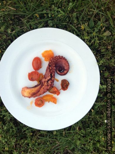 Plat de poulpe avec tomates grillées. Photo © Alex Medwedeff