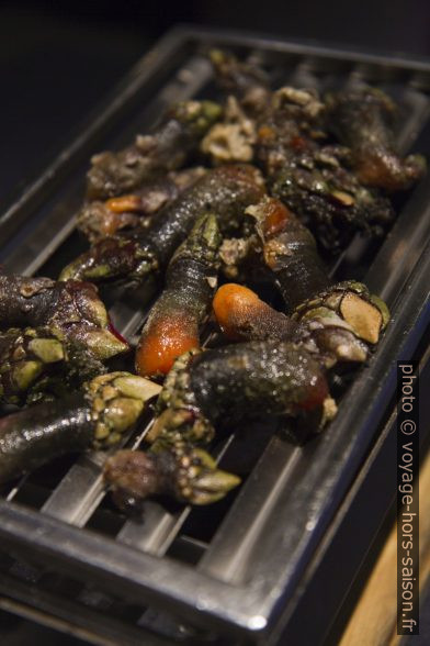 Percebes servis sur grill au bois de hêtre. Photo © Alex Medwedeff