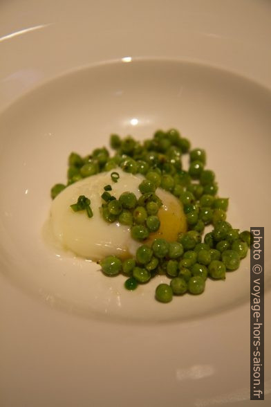 Œuf cuit à basse température et petits pois guisantes. Photo © Alex Medwedeff